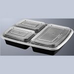 3 compartment food containers